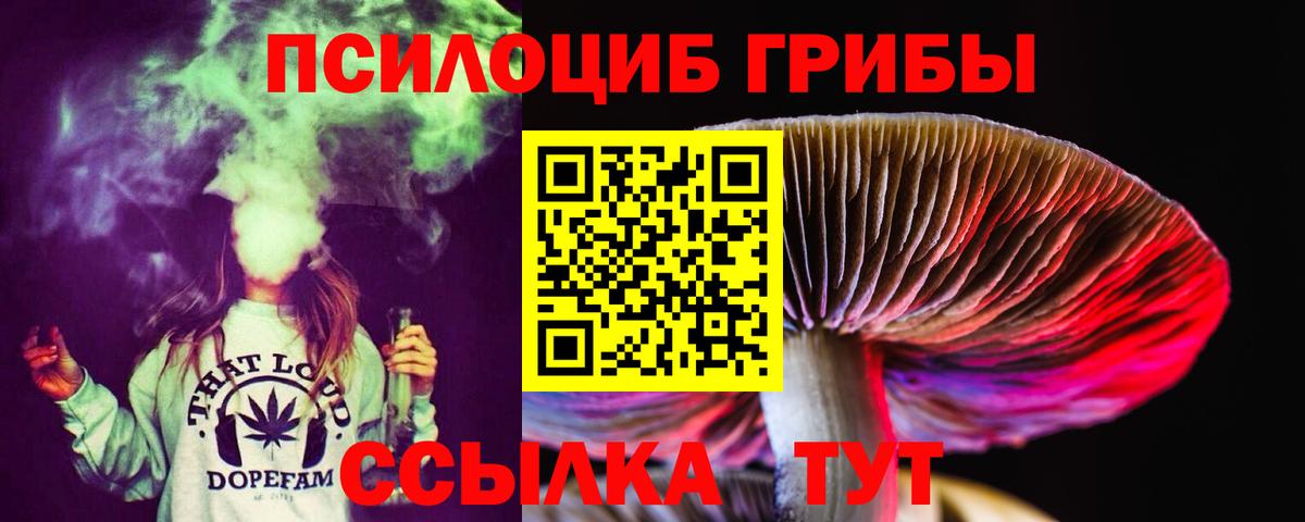 Псилоцибиновые грибы мухоморы  Вход с VPN  Гурьевск 